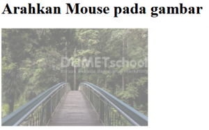 hover-gambar-dengan-opacity-css-rangga2-210617
