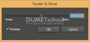 Memberi Efek Pucker & Bloat Pada Stroke