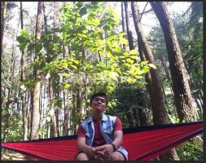 Edit Warna foto dengan vibrance di Adobe Photoshop