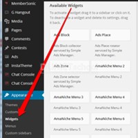 Fungsi Widget Pada Wordpress