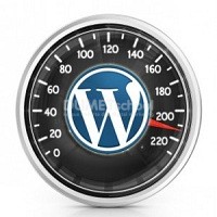 membandingan-plugin-wp-fastest-cache-dengan-comet-cache
