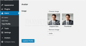 Cara Menambahkan Foto Penulis di Situs WordPress