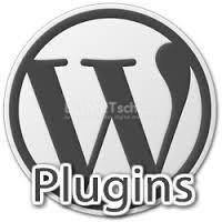 Beberapa Plugin WordPress Penting Yang Harus Anda Ketahui