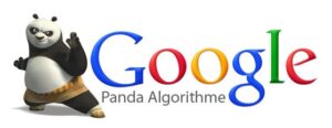 apa itu google panda
