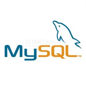 memasukan-inputan-font-unik-pada-mysql-ranggalogo-160717