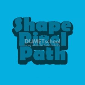 Perbedaan antara shape, path dan pixel