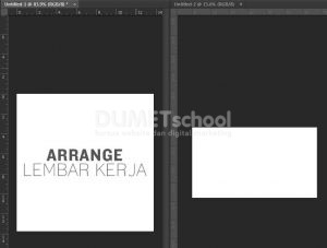 Cara Membuat Tampilan Lembar Kerja Photoshop Menjadi Dua