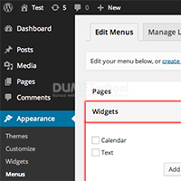 Menu pada Wordpress serta Fungsinya