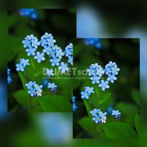 Duplikat Objek atau Tekstur di Adobe Photoshop