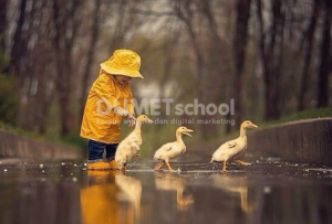 Memasukkan Foto dalam Mode Index ini Cara Merubahnya Adobe Photoshop