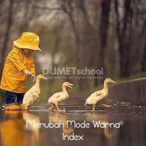 Memasukkan Foto dalam Mode Index ini Cara Merubahnya Adobe Photoshop