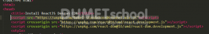 Cara Install ReactJS Dengan CDN