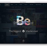 Tema WordPress Terpopuler