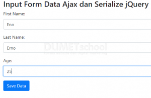 Cara Input Data Dengan Serialize jQuery