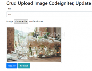 Crud Upload Image Codeigniter, Update