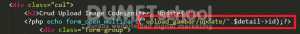 Crud Upload Image Codeigniter, Update