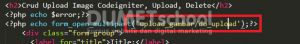 Crud Upload Image Codeigniter, Upload, Delete