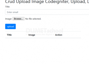 Crud Upload Image Codeigniter, Upload, Delete
