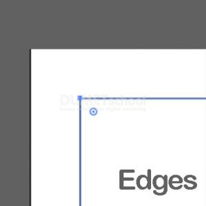 Fungsi Show Edges dan Hide Edges pada Adobe Illustrator