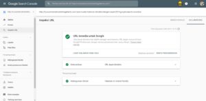 4 Cara Mudah Halaman Diindeks dengan Cepat 2019 (Google Search Consolue)