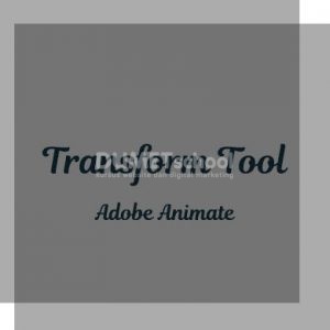 Cara-menggunakan-transform-tool-di-adobe-animate