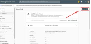 Cara Mudah Halaman Diindeks dengan Cepat 2019 (Google Search Consolue) 3