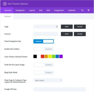 Cara setting tema divi