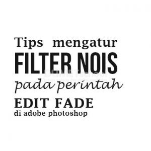 Tips mengatur filter nois pada perintah edit fade di adobe photoshop