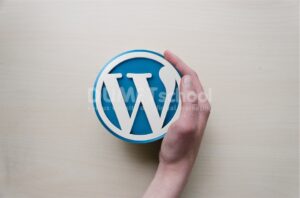 bikin website murah