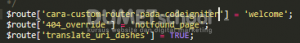 Cara Custom Router Pada Codeigniter
