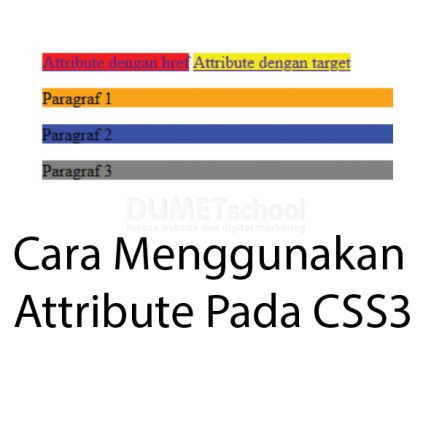 Cara Menggunakan Attribute Pada CSS3