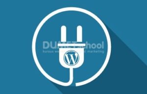 gagal update plugin