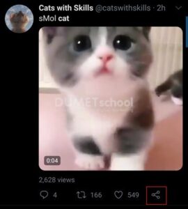 Beberapa-Cara-Mudah-Download-Video-dari-Twitter