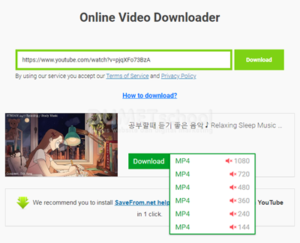 2 cara mudah download video youtube