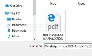 Mengubah File PDF Menjadi Word