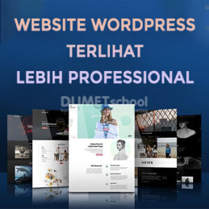 website wordpress professional