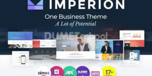 website wordpress professional