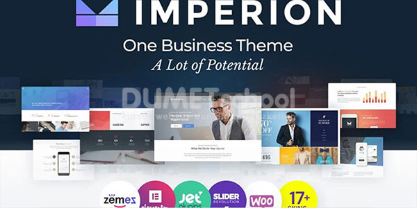 website wordpress professional