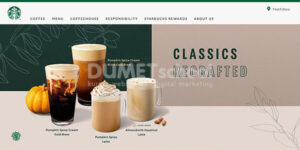 website wordpress professional