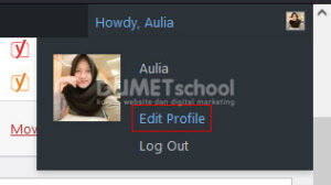 ubah warna tampilan dashboard wordpress
