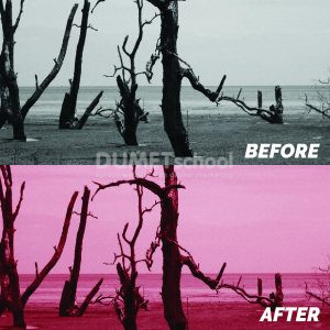 Menghidupkan Gambar Dengan Color Balance di Photoshop