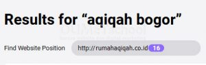 melihat peringkat website