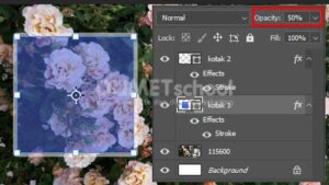 perbedaan opacity dan fill