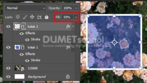 perbedaan opacity dan fill