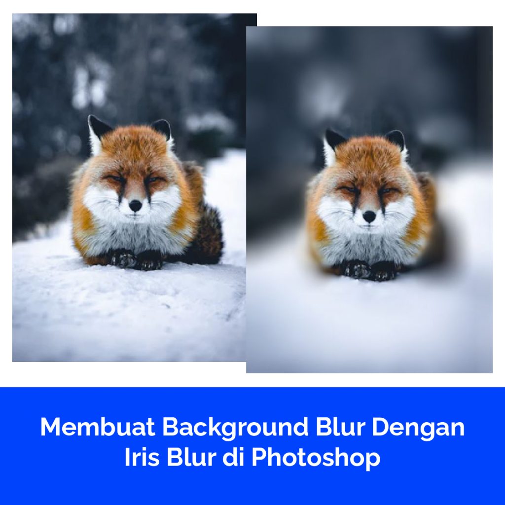 Membuat Background Blur Dengan Iris Blur di Photoshop