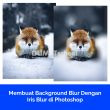 Membuat Background Blur Dengan Iris Blur di Photoshop
