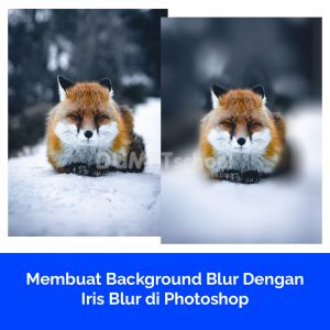 Membuat Background Blur Dengan Iris Blur di Photoshop