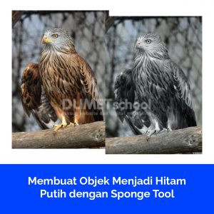 Membuat Objek Menjadi Hitam Putih dengan Sponge Tool
