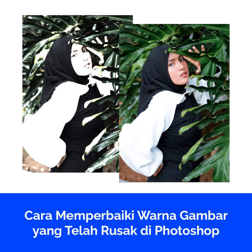Cara Memperbaiki Warna Gambar yang Telah Rusak di Photoshop