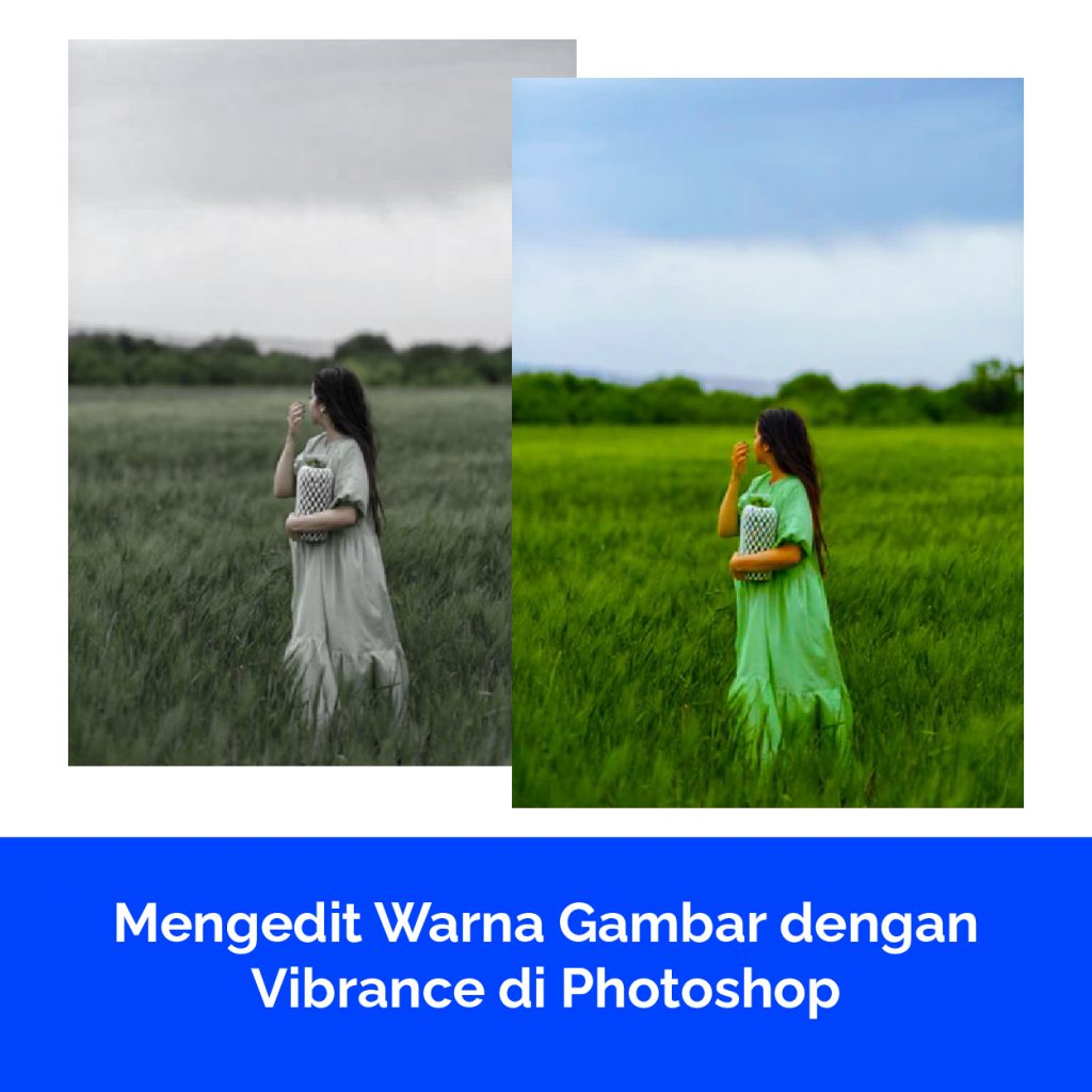 Mengedit Warna Gambar dengan Vibrance di Photoshop
